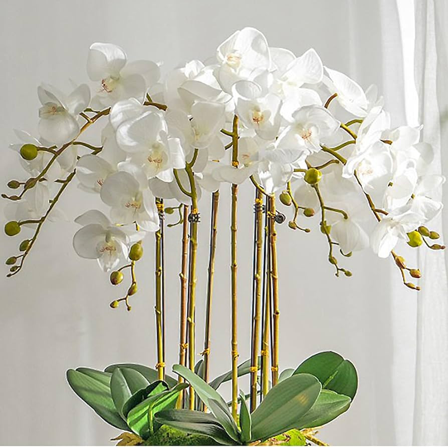 Artificial Orchid Plant, 35 Inch 4 Pcs Phalaenopsis Flowers with Leaves, Real Touch Orchid Stems ... | Amazon (US)