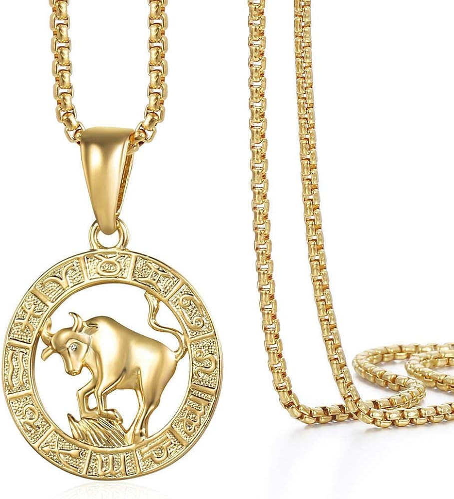 Gold Plated Zodiac Sign Pendant necklace for Women Men Leo AriesConstellation Horoscope Pendant S... | Amazon (US)