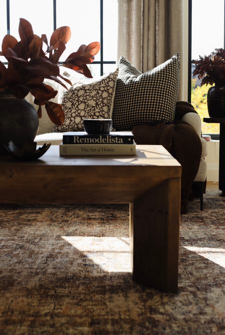 My most favorite rug ever is on sale for Wayday! It’s so soft and has colors of creams, beiges, navy, rust and gold! It looks good everywhere!!!



#LTKhome