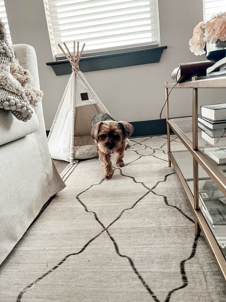 Washable Rugs and Dog Tent Beds. Ruggable. Amazon Finds    

#LTKhome #LTKstyletip