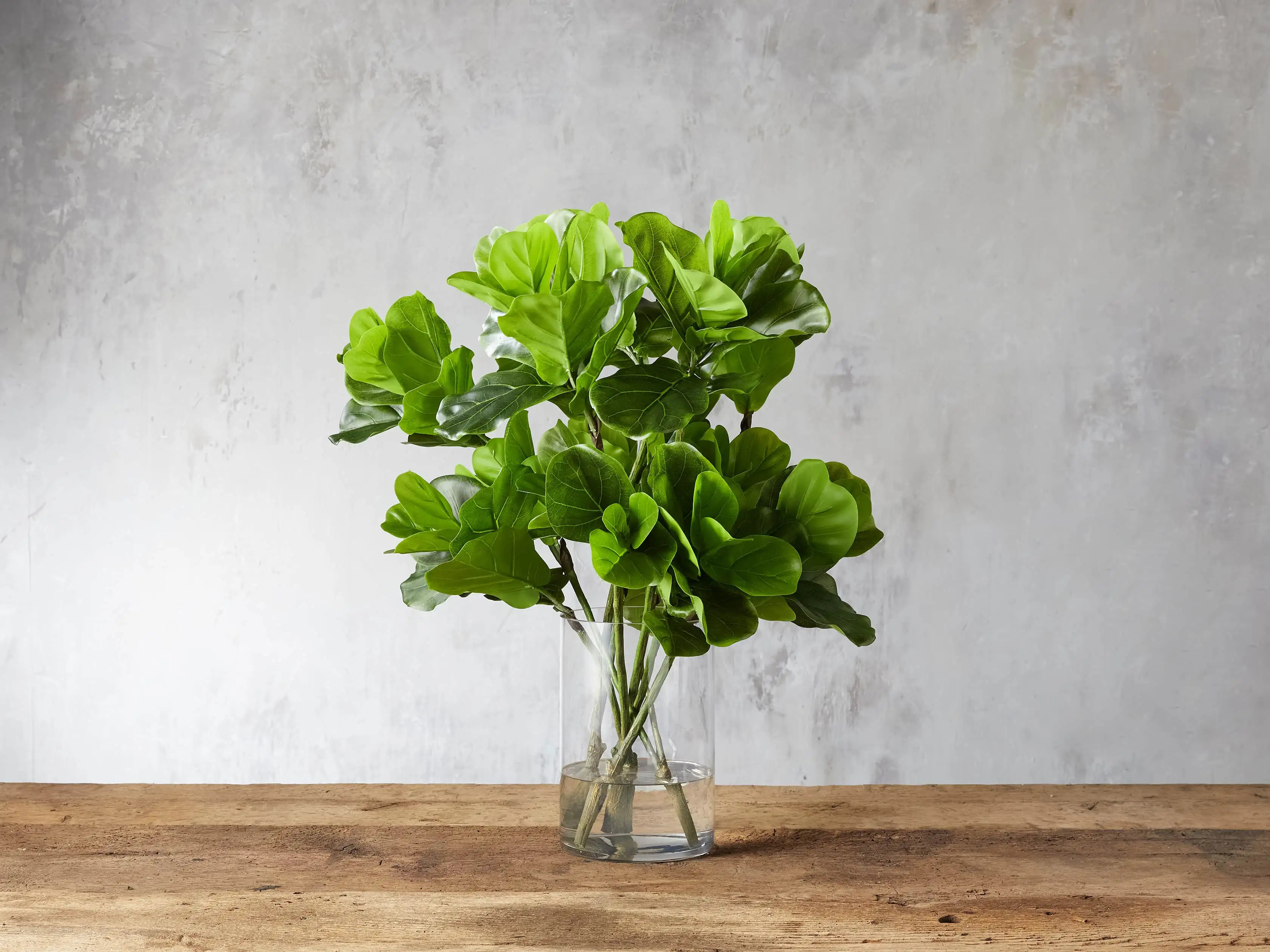 Faux Fiddle Leaf in Vase | Arhaus