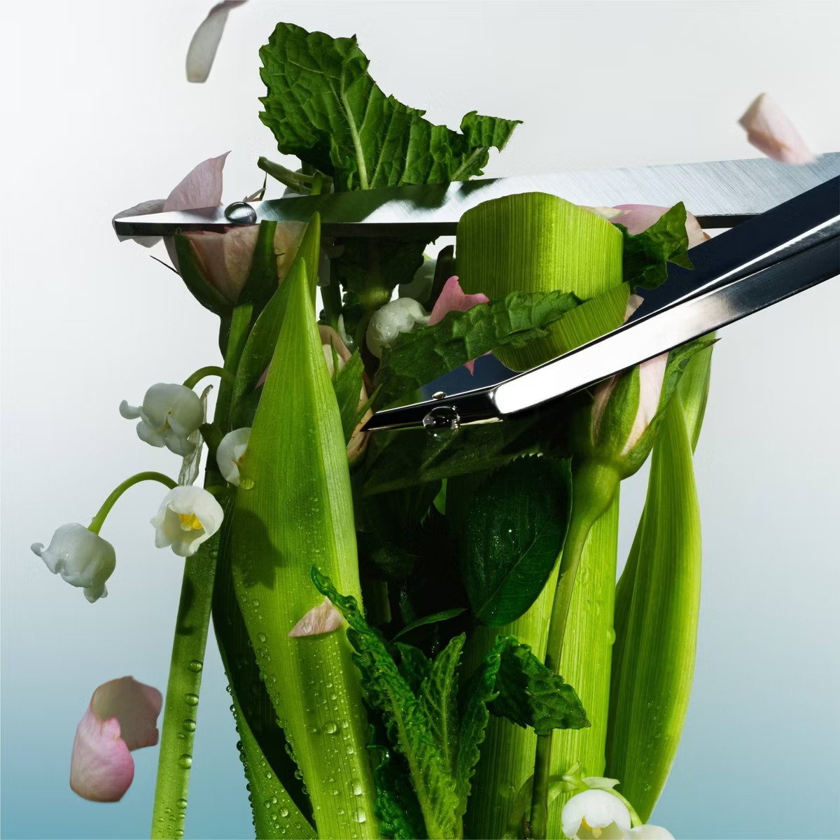 Athena Club All Over Solid Deodorant Sea Splash - 3oz | Target