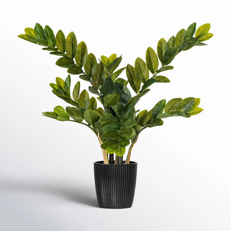 Zen Faux Zamifolia Plant in Pot | Joss & Main