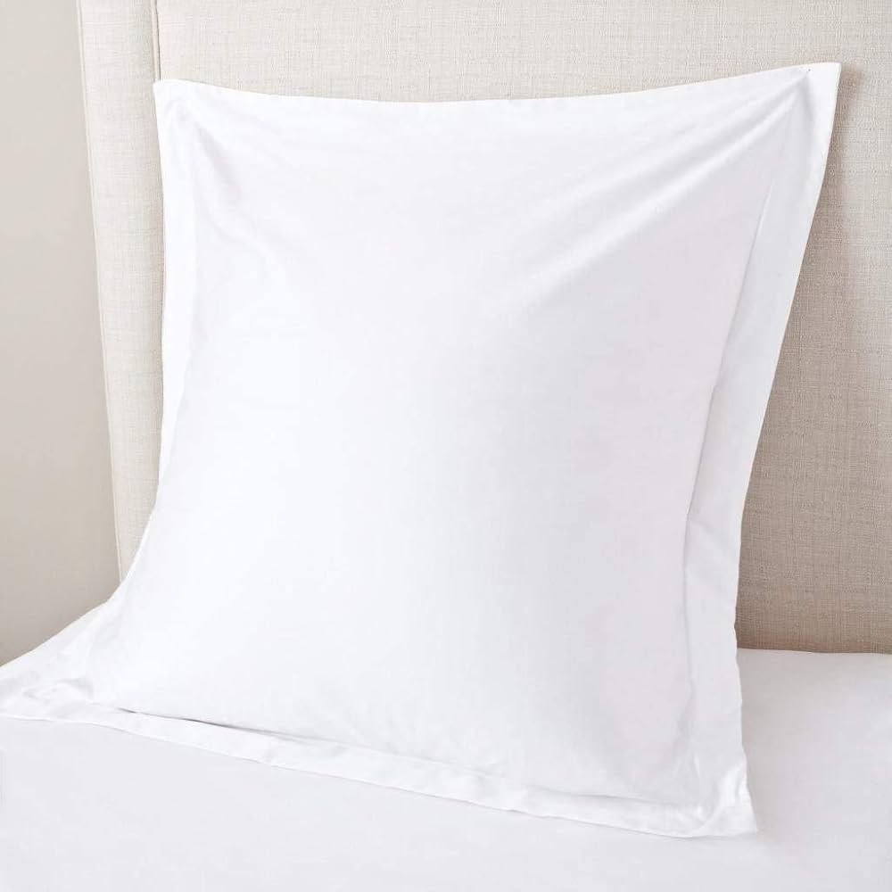 Euro Sham Covers 26x26 Set of 2 White 600 Thread Count 100% Egyptian Cotton Pack of 2 Euro 26x26 ... | Amazon (US)