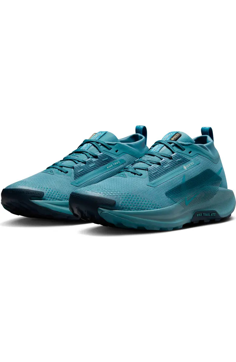 Pegasus Trail 5 Gore-Tex® Waterproof Running Shoe (Men) | Nordstrom