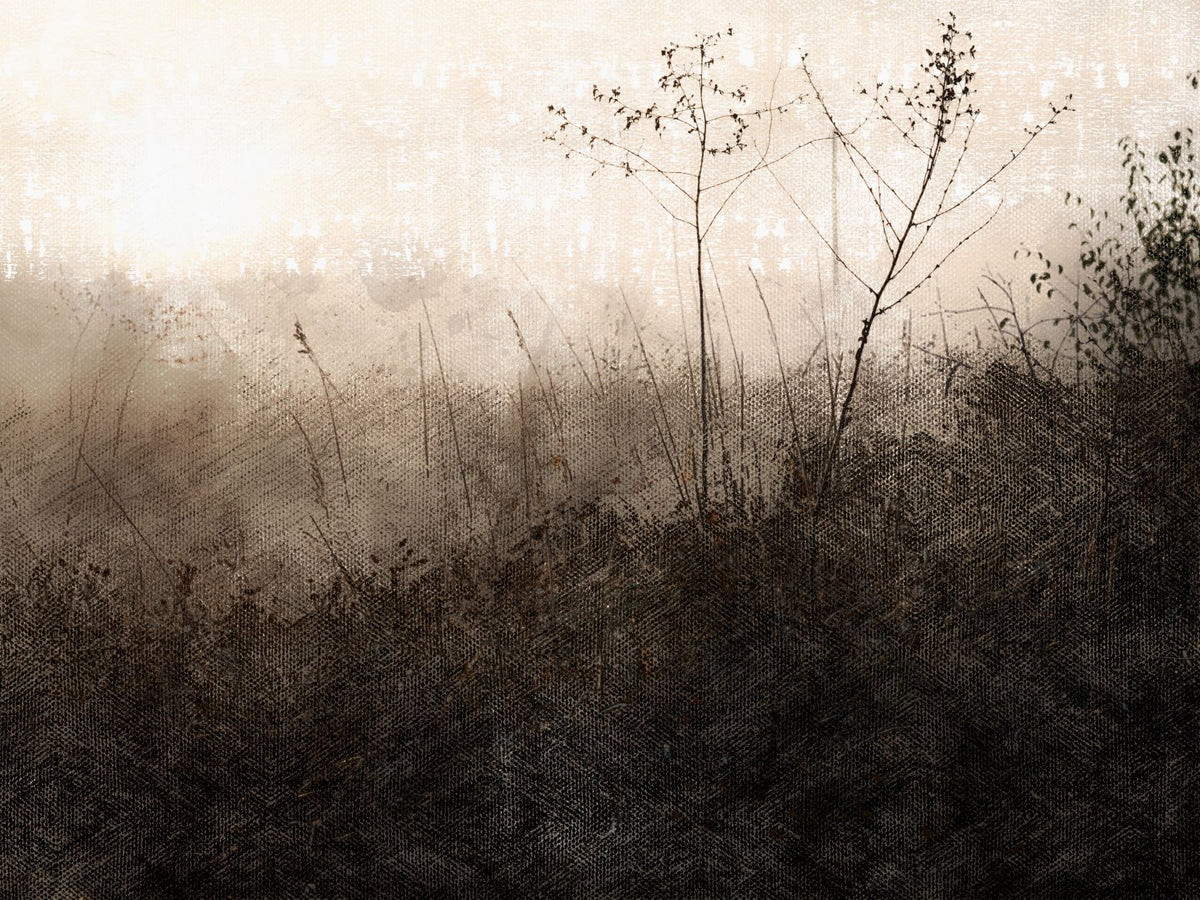 Fog at Dawn | Collection Prints