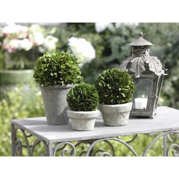 Zodax Topiary Boxwood Potted Ball (Set of 2) | Bed Bath & Beyond