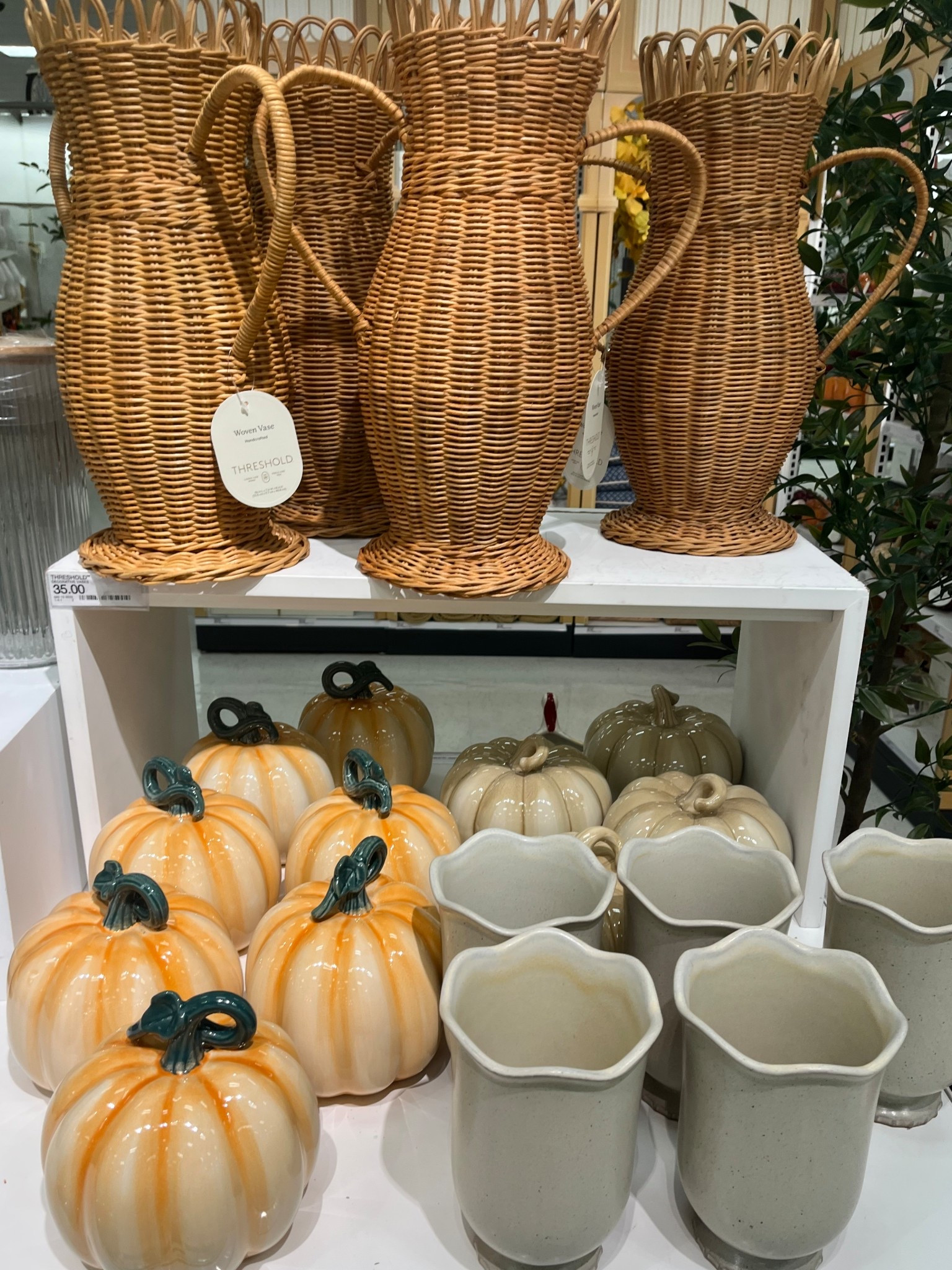 Fall home decor at target

Ltkfindsunder100 / ltkfindsunder50 / LTKsalealert / target / target home decor / fall decor / target finds / target style / fall home decor / autumn decor / autumn home decor / fall / autumn / fall decor / autumn decor / ceramic pumpkins / rattan vase / ceramic vase / cream vase / pumpkin / pumpkin decor / white pumpkin / orange pumpkin / threshold / studio McGee / sale / sale alert 

#LTKSeasonal #LTKStyleTip #LTKHome