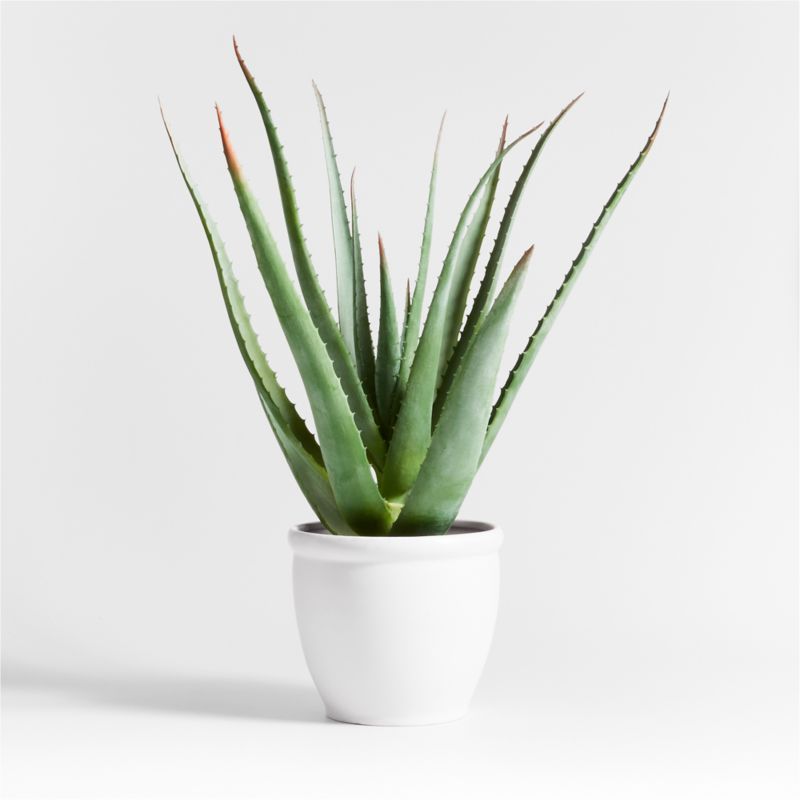 Potted Faux Agave Sisal Plant + Reviews | Crate & Barrel | Crate & Barrel