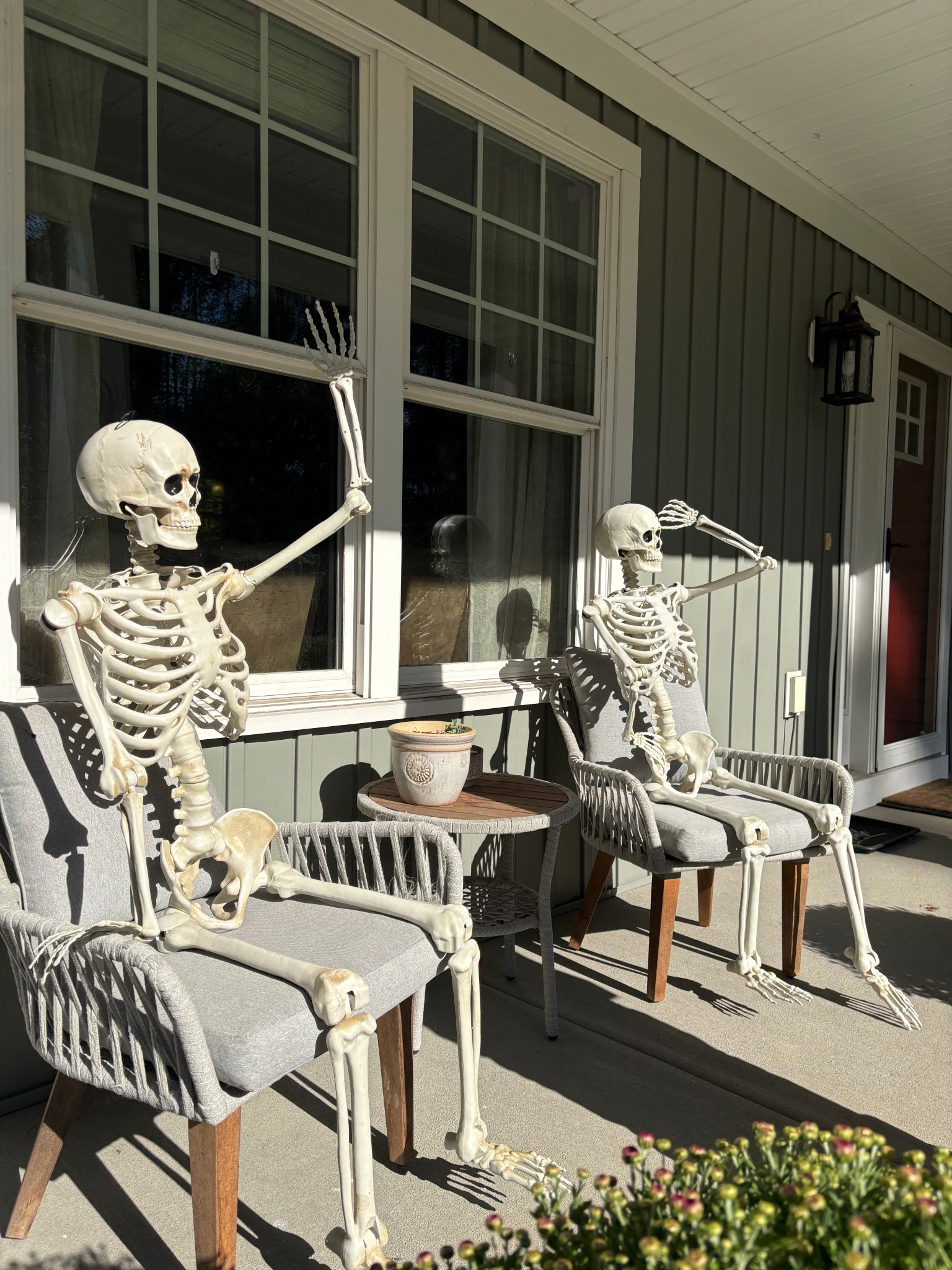 Blake Skeleton & Scarrie Underwood porch skeletons! Walmart find! 