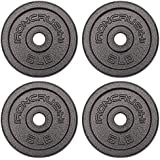 A2ZCare Standard Cast Iron Weight Plates 1-Inch Center-Hole For Adjustable Dumbbells, Standard Ba... | Amazon (US)
