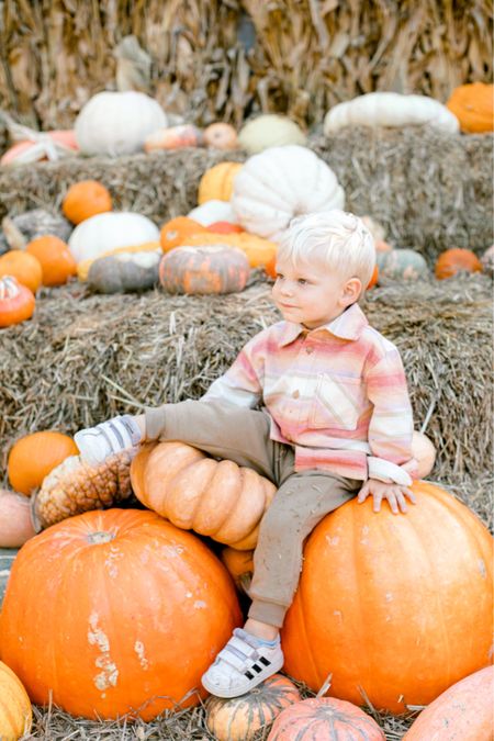 Fall Toddler Style #ootd 
These are some of our favorite #lclittleco clothes!  

#LTKstyletip #LTKSeasonal #LTKkids