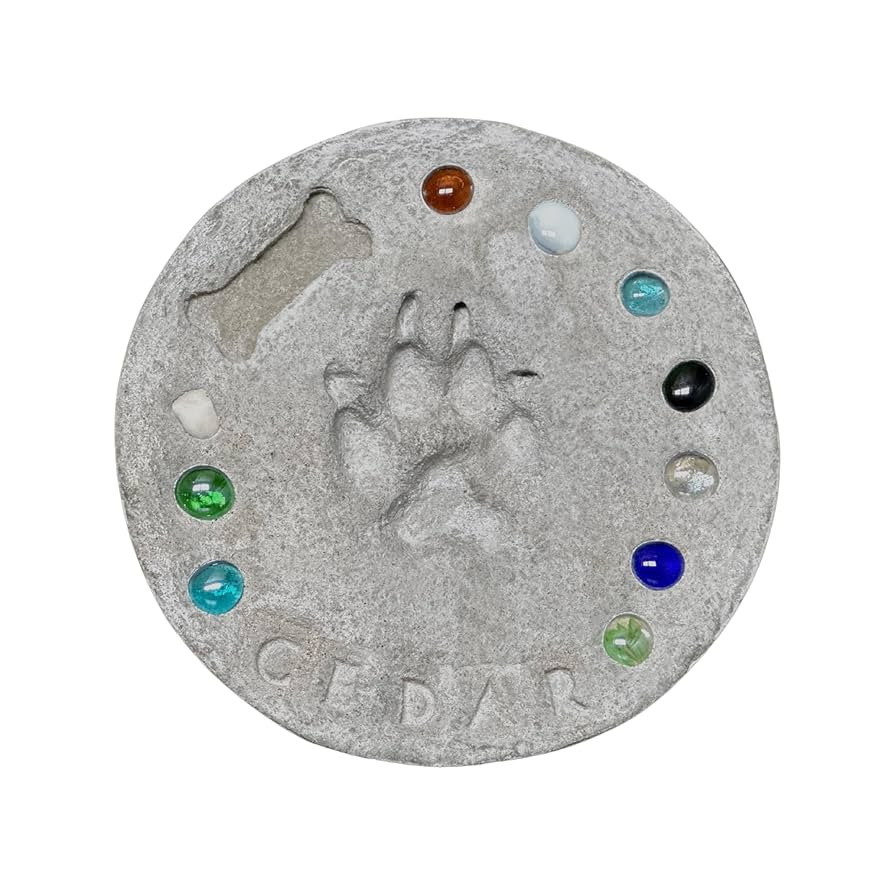 DIY Paw Print Stepping Stone Kit, Pet Memorial Stone, Pet Garden Stone (10 Inch) | Amazon (US)