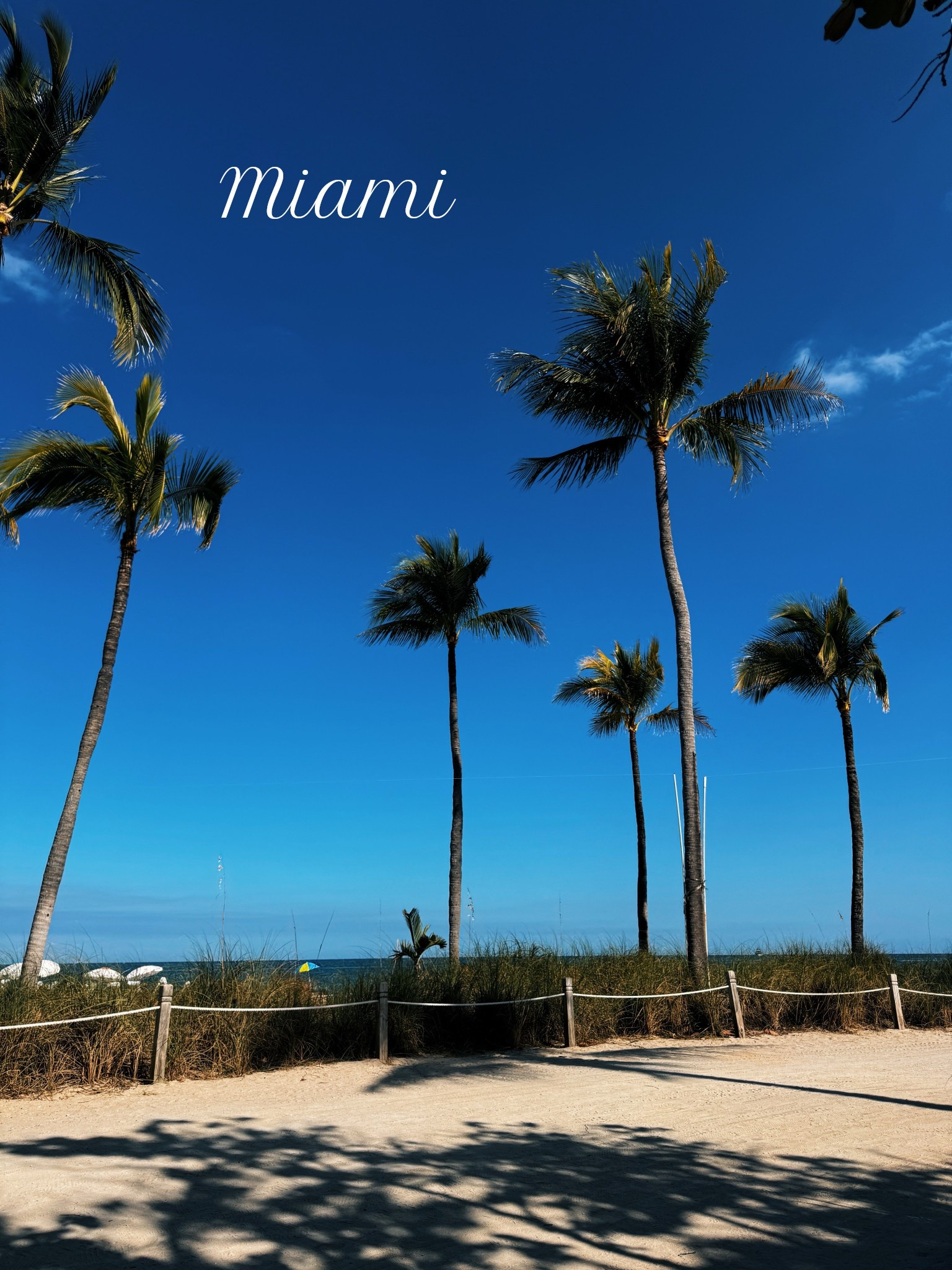 Here’s everything I wore and packed for my trip to Florida with a toddler, beach essentials, baby favorites, vacation outfit dress

#LTKmomlife #LTKTravel