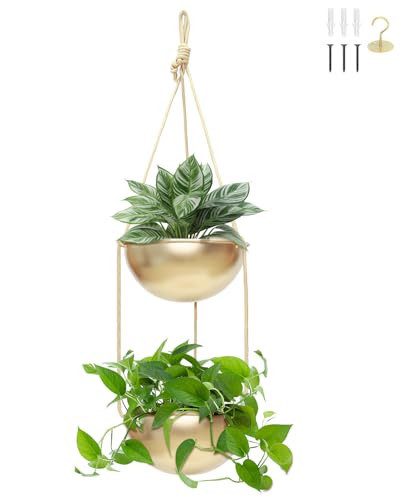 AceList 2 Pack Gold Hanging Planter for Indoor Plants - 9.8 Inch Boho Metal Plant Hanger Indoor with Hooks, Window Hanging Planters for Balcony and Ceiling | Amazon (US)