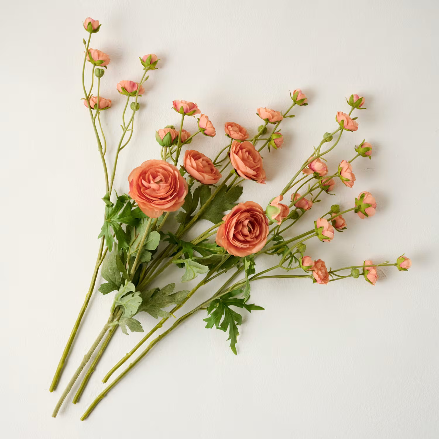 Ranunculus Bloom Bundle | Magnolia