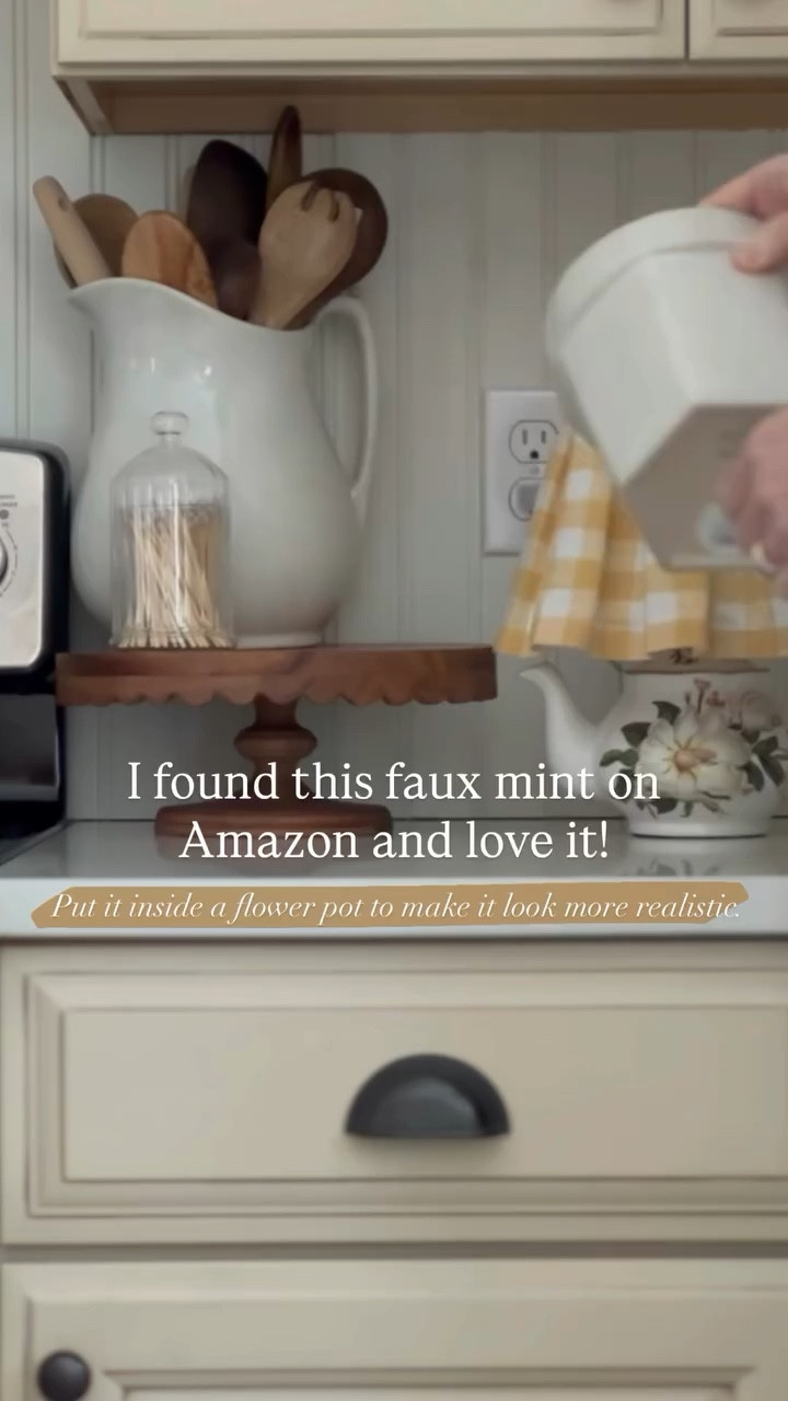 I found this faux mint on Amazon and love it! Put it inside a flower pot to make it look more realistic.