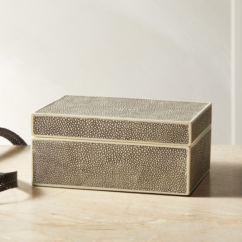 Resin Shagreen Jewelry Box + Reviews | CB2 | CB2