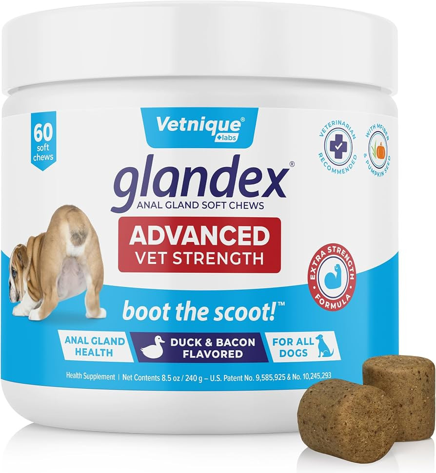 Vetnique Glandex Anal Gland Soft Chew Treats with Pumpkin for Dogs Digestive Enzymes, Probiotics ... | Amazon (US)