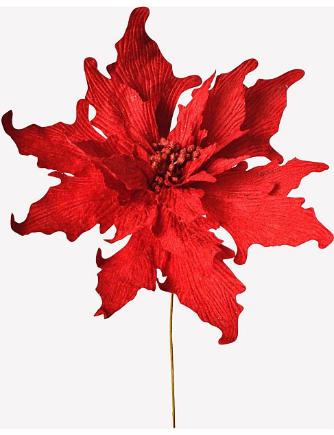 David Jones 35cm Red Poinsettia Pick | David Jones | David Jones (Australia & New Zealand)