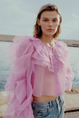 Maeve Organza Ruffled Sheer Top | Anthropologie (US)