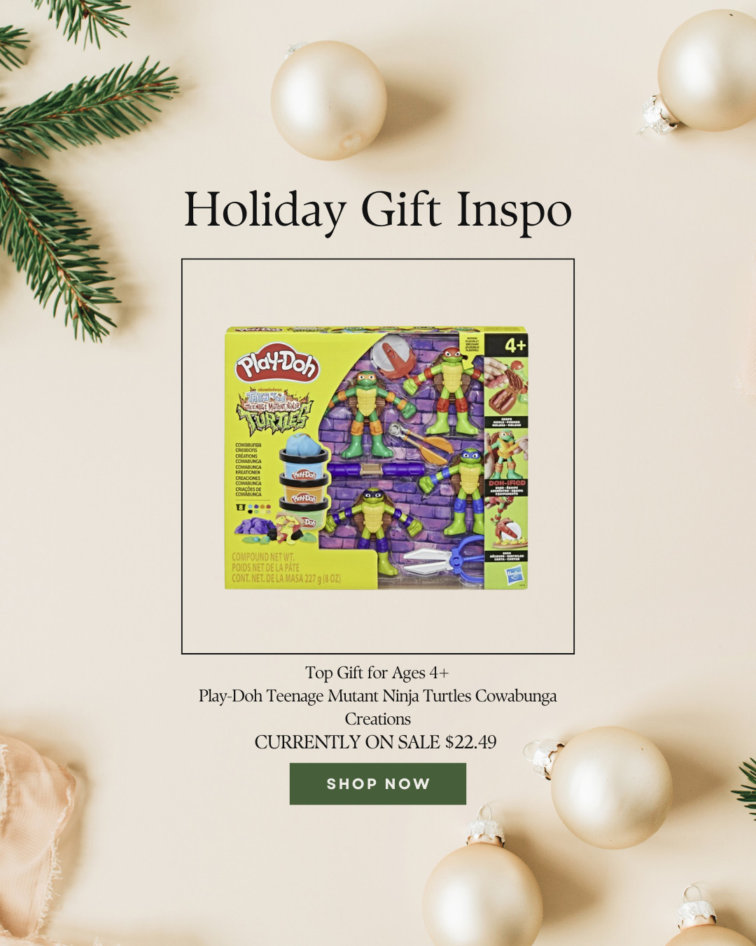 For that TMNT fan in your life, what's better than a cool Pizza Play-Doh set? 

 #LTKGiftGuide #LTKHoliday #LTKSaleAlert