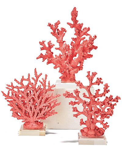 Set of 3 Pink Coral Sculptures | Ruelala