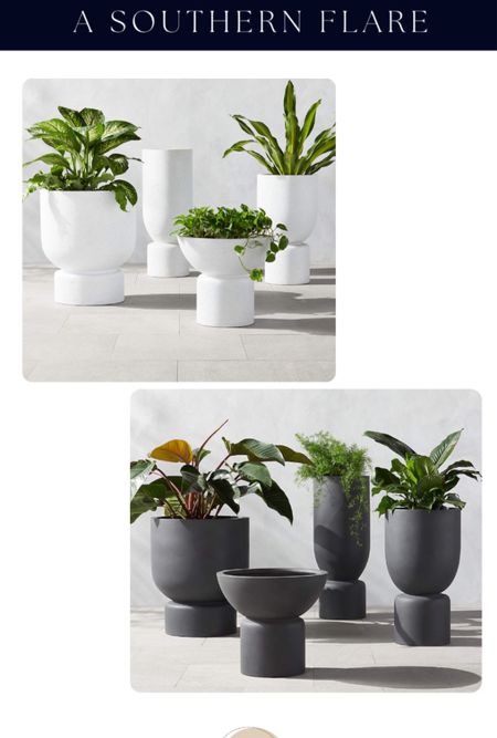 Home Decor/ Home and Garden/planter/ vases/ accessories 

#LTKover40 #LTKstyletip #LTKhome