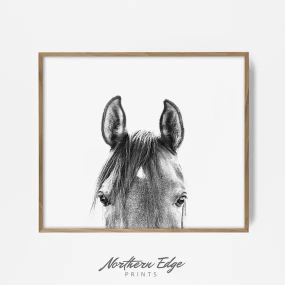 peekaboo horse, bw horse print, horse photo, equestrian print, equestrian photo, equestrian decor... | Etsy (US)