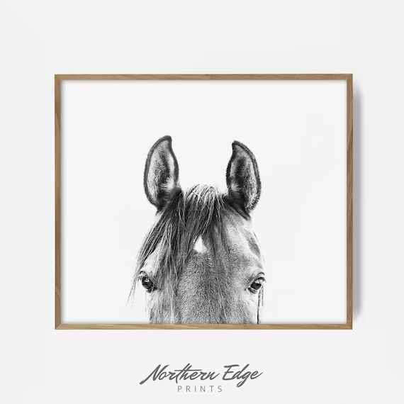 peekaboo horse, bw horse print, horse photo, equestrian print, equestrian photo, equestrian decor... | Etsy (US)