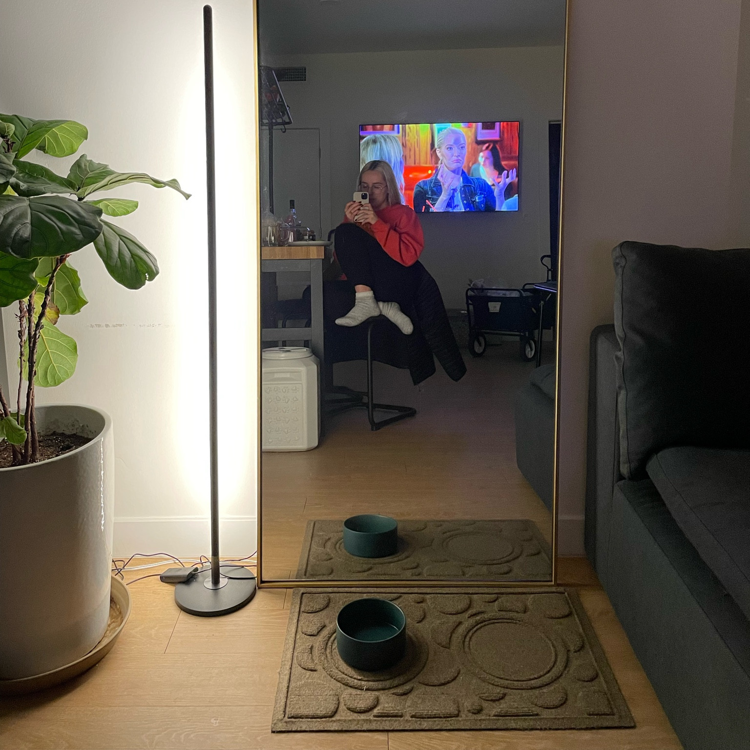 dune’s water and food bowl placemat  

#LTKhome