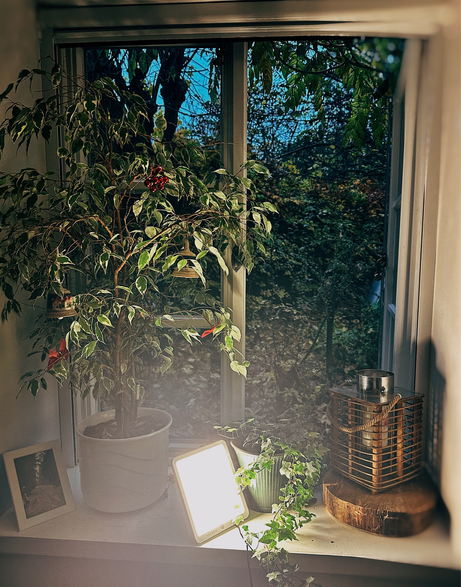 SAD lamp 10000 lux

#LTKhome #LTKSeasonal #LTKGiftGuide