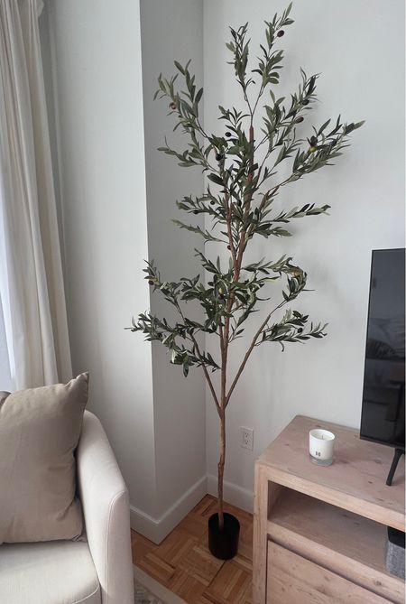 Amazon home faux olive tree 7 feet tall! Artificial plants for home 

#olivetree #fauxolivetree #amazon #amazonfind #amazonhome 

#LTKxPrimeDay #LTKFind #LTKhome