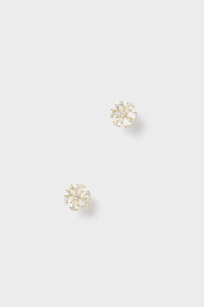 Gold Holly Studs | Tuckernuck (US)