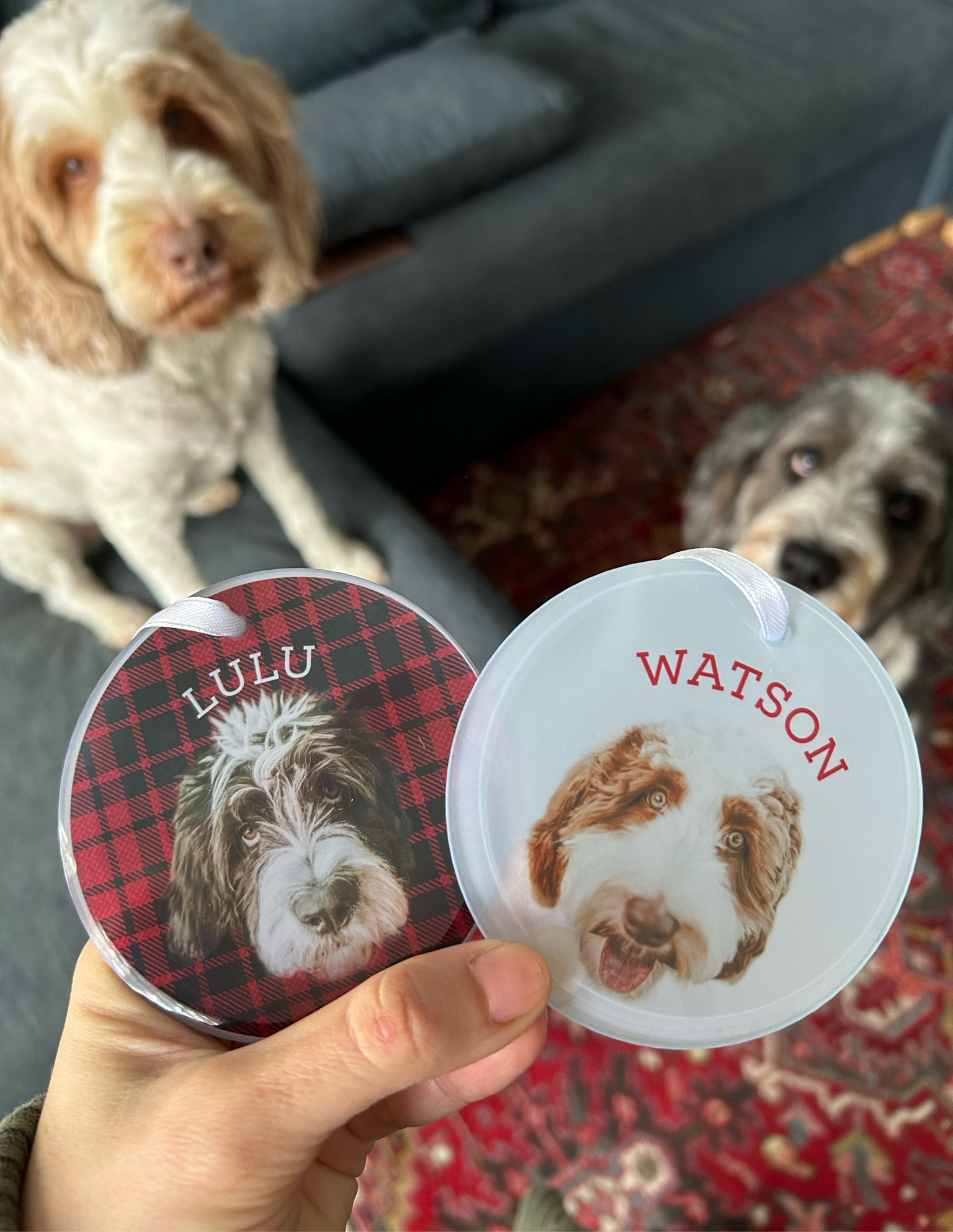 Custom pet or kiddo ornaments! This little shop is the best, such great customer service and fast shipping.🙌🎉

#LTKGiftGuide #LTKfamily #LTKfindsunder50