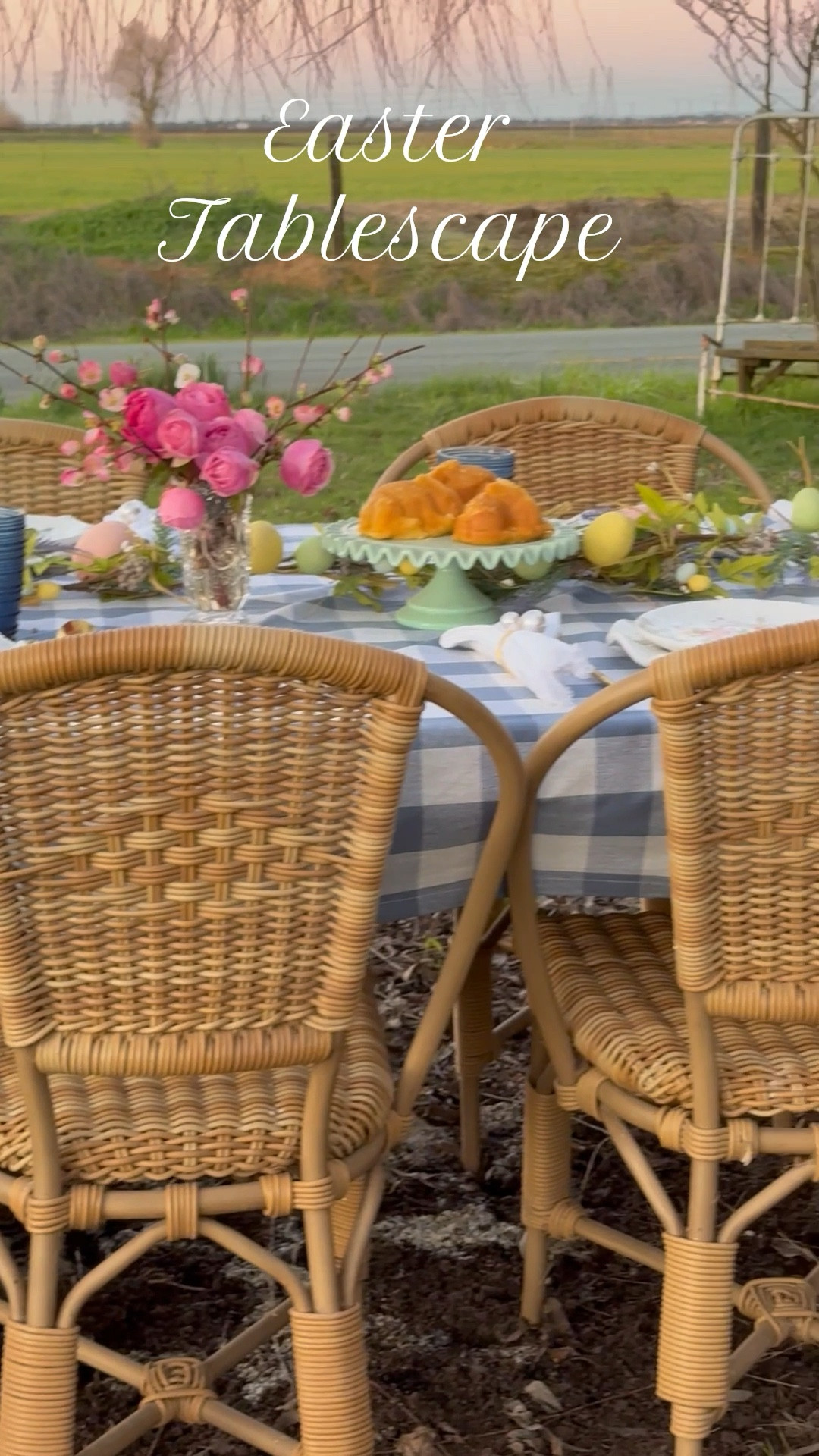 Easter tablescape idea with a classic gingham check tablecloth that you can use countless times this spring and summer! 🌸🤍💙🐣🐰

#LTKHome #LTKParties #LTKSeasonal