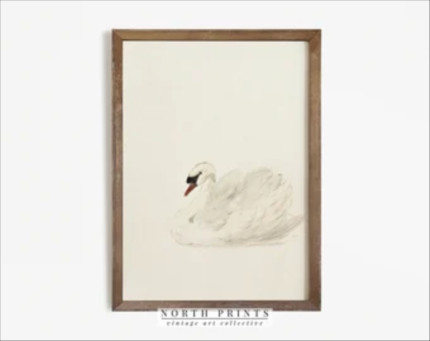 Click for more info about Vintage Swan Print, Vintage Nursery Art, Vintage Nursery Prints, Nursery Printable Wall Art, Vint...
