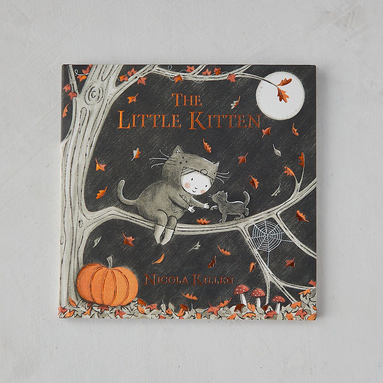The Little Kitten | Terrain