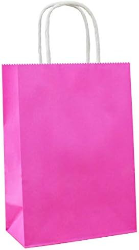 ADIDO EVA 25 PCS Small Gift Bags Hot Pink Kraft Paper Bags with Handles for Party Favors (8.2 x 6 x  | Amazon (US)