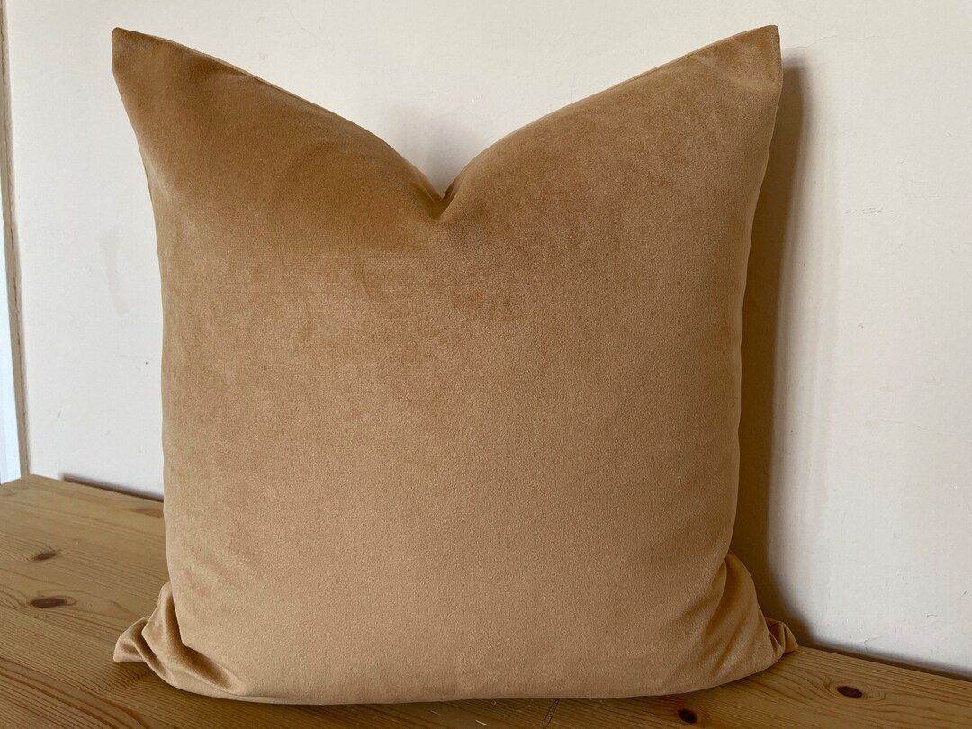 camel velvet pillow cover,neutral pillow, farmhouse pillow, light brown velvet pillow, neutral pi... | Etsy (US)