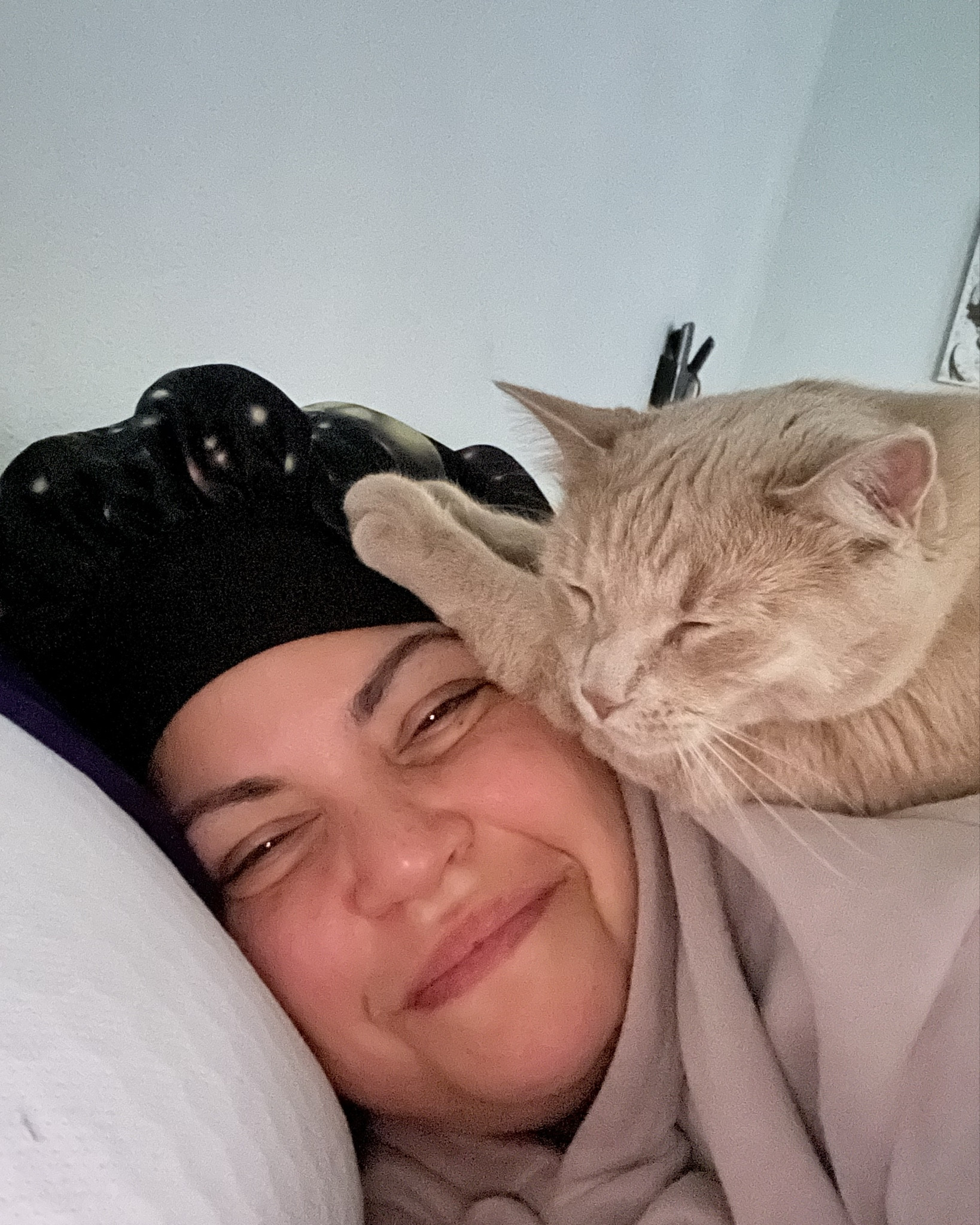 What we feed our rescue kitties: We have 5 happy rescue kitties Ranging in age from 10 months- 17 years.  Our vet strongly recommends #iams we buy a large bag since it less $ per ounce and they have  an auto dispenser  

#LTKPets #LTKKids #LTKFamily