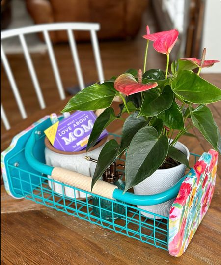 Sweet Mother's Day gift for the gardening loving mom! 🪴.


#LTKSeasonal #LTKGiftGuide #LTKhome