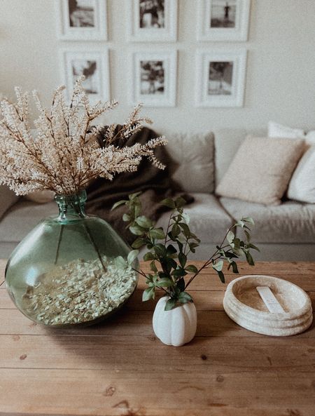 Coffee table styling for Fall. Marble trays, pretty floral stems, and statement vases create a cozy styled room. 

#LTKhome #LTKSeasonal