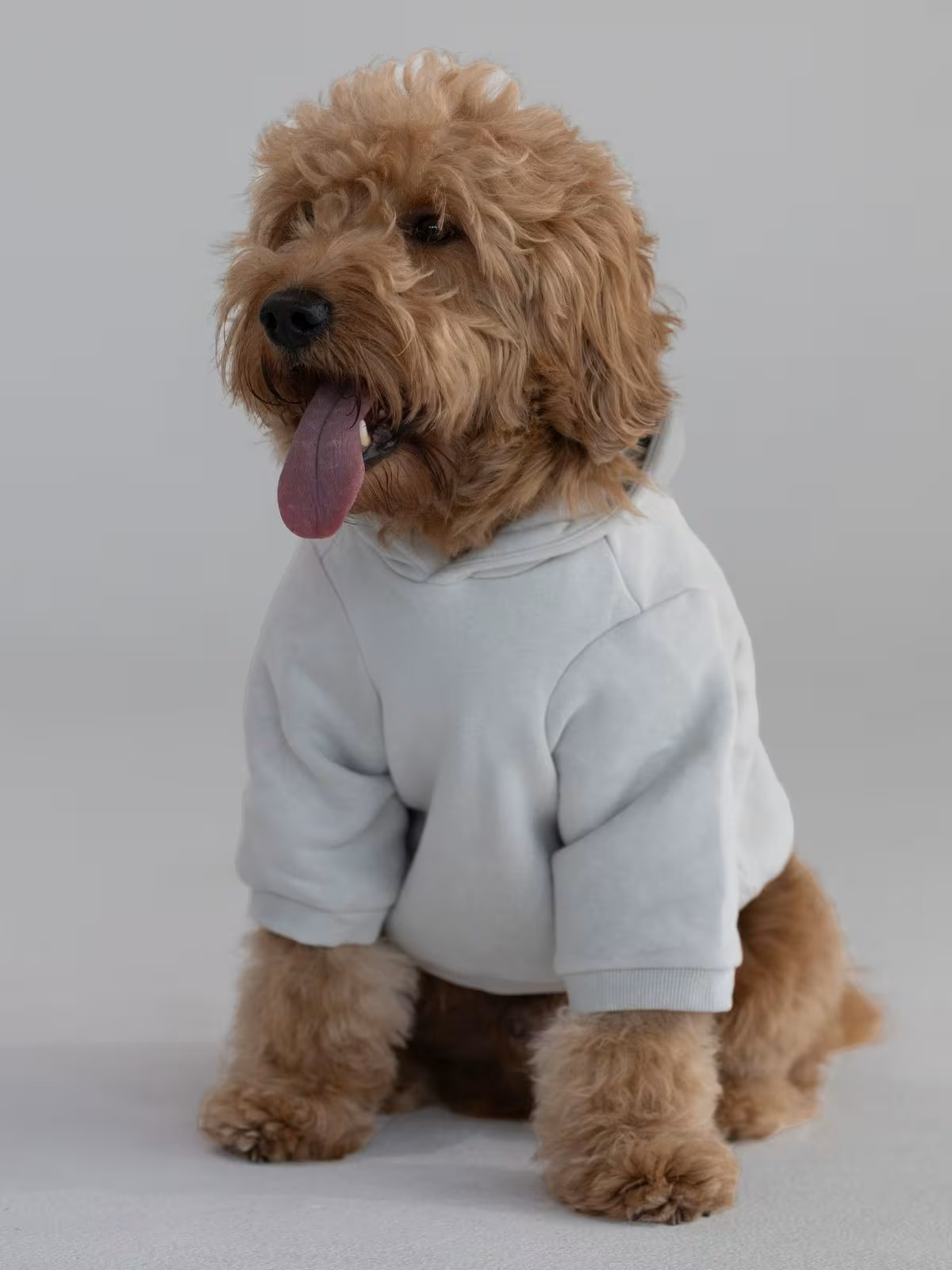 Standard Paw Hoodie — Comfrt | Comfrt