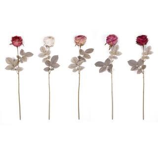Assorted Dry Princess Rose Stem by Ashland® | Michaels Stores