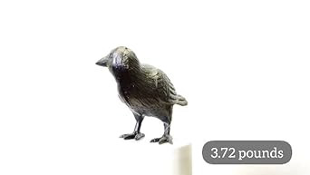NACH Decorative Cast Iron Crow with Head to Side, Black, JS-90-7115 | Amazon (US)