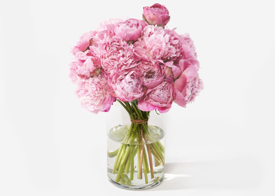 Double The Peony | UrbanStems