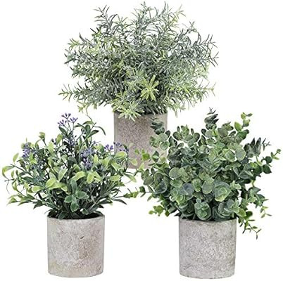 3 Pack Assorted Greenery in Pots Artificial Eucalyptus Rosemary Seeded Boxwood Small Potted Plant... | Amazon (US)
