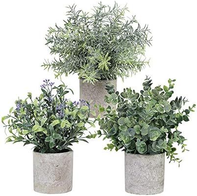 3 Pack Assorted Greenery in Pots Artificial Eucalyptus Rosemary Seeded Boxwood Small Potted Plant... | Amazon (US)