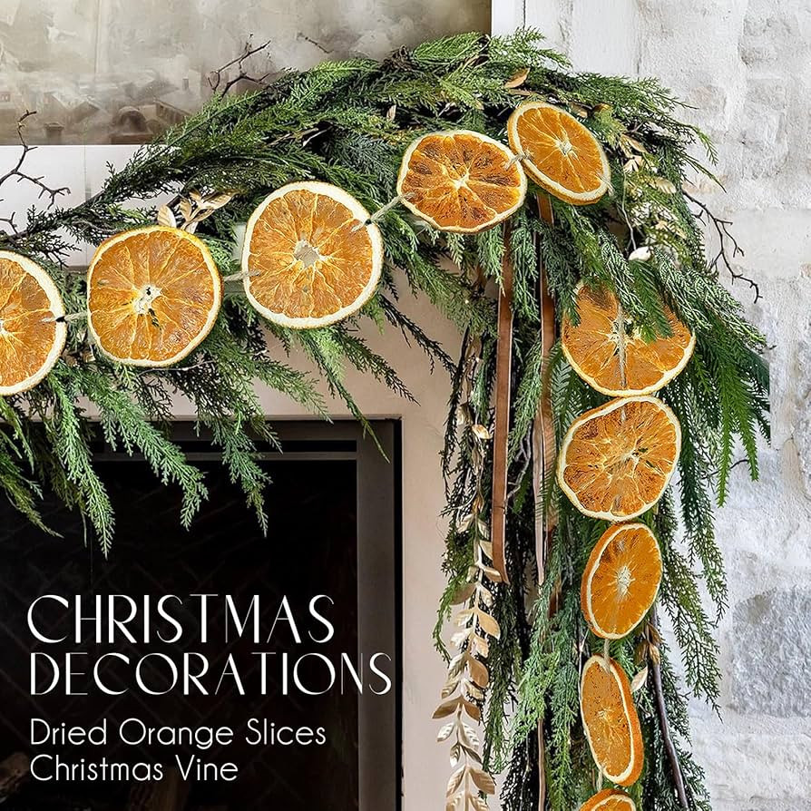Christmas Decorations - 10 ft Dried Orange Slice Christmas Garland - Realistic Farmhouse Christma... | Amazon (US)